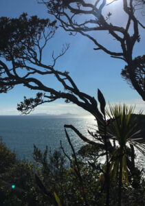 Matapouri Lookout