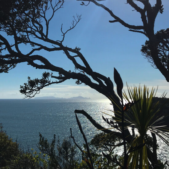 Matapouri Lookout